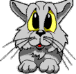 Chats